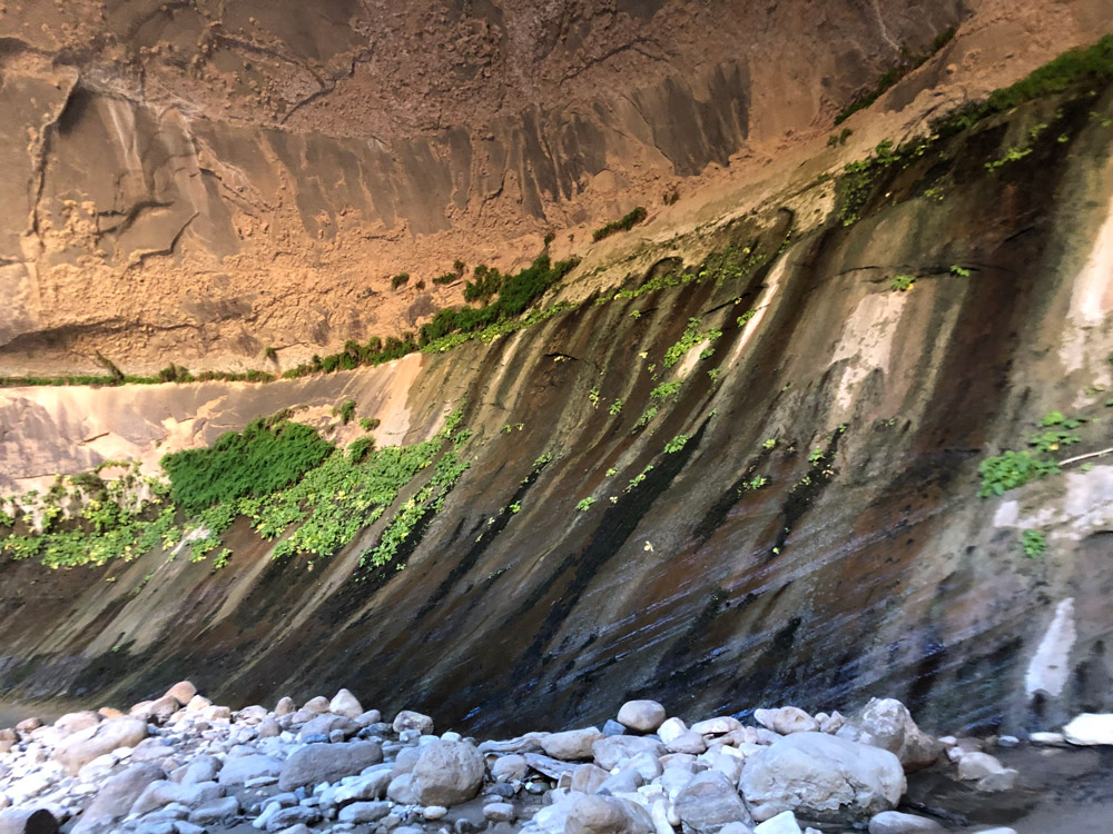 Zion The Narrows Slot Canyon Wall