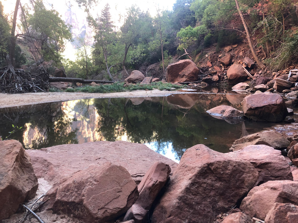 Zion Lower Emerald Pool