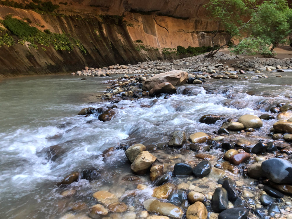 Zion North Fork Virgin River