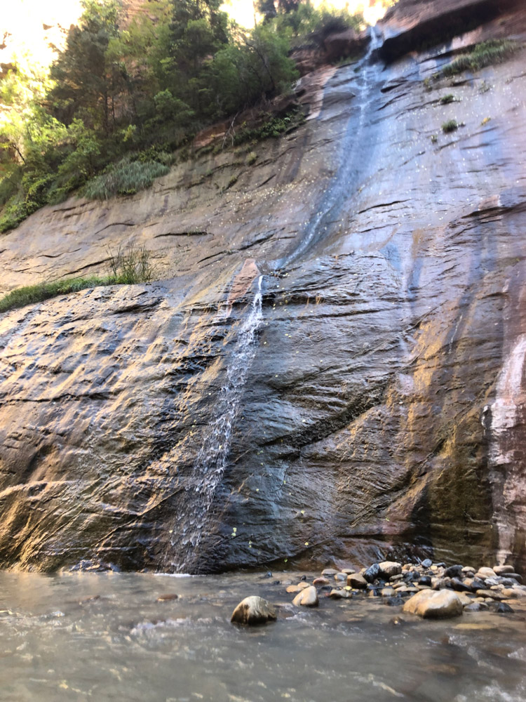Zion The Narrows Small Waterfall