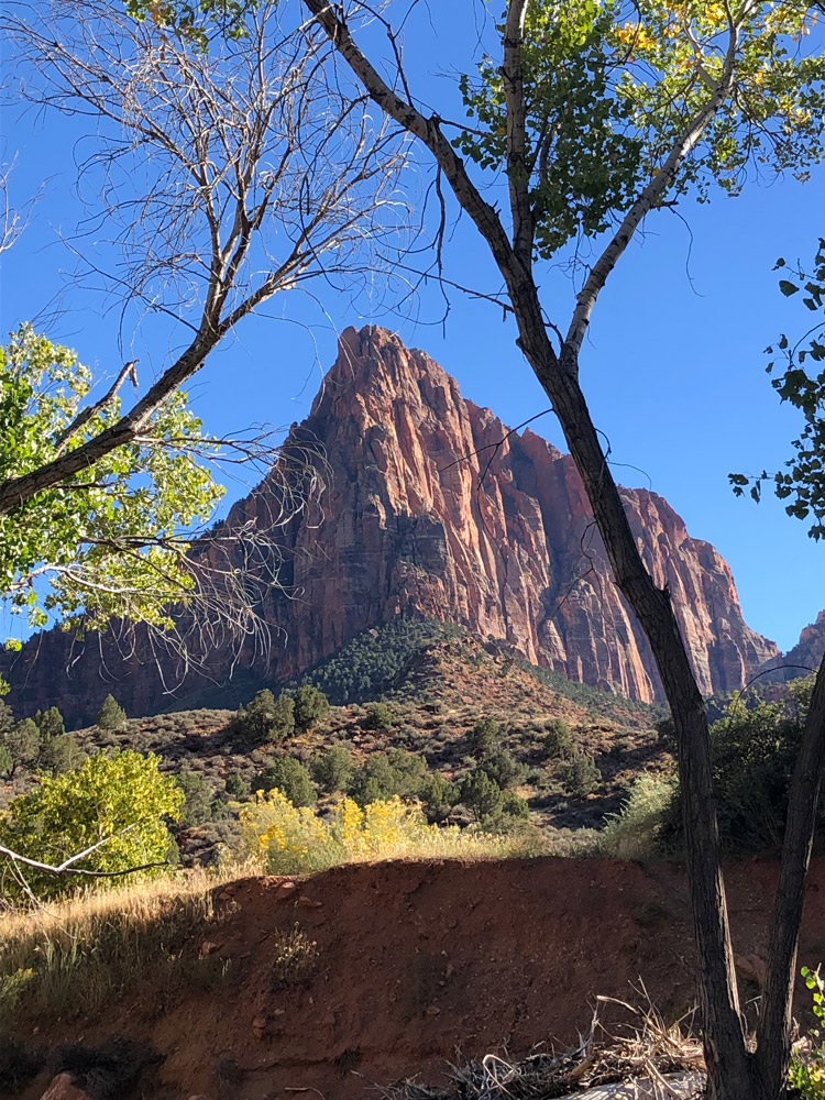 Zion Watchman