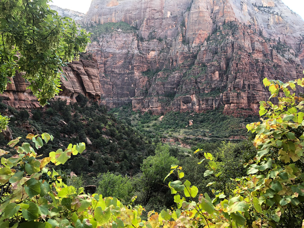 Zion Valley