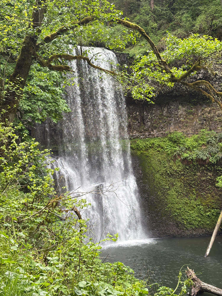 Silver Falls State Park Lower South Falls