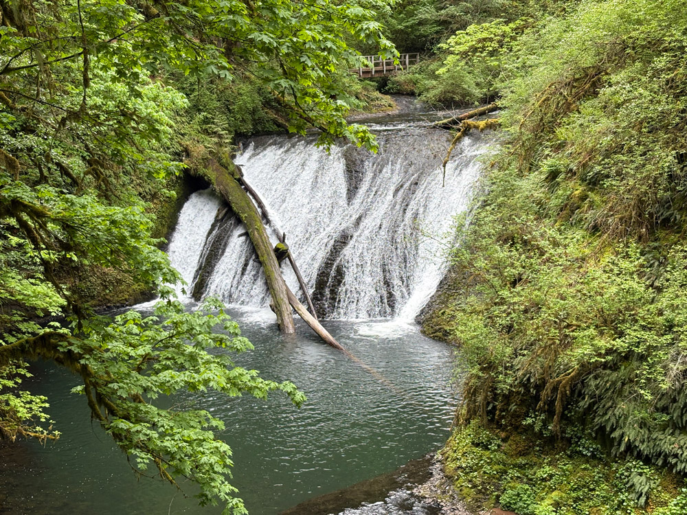 Silver Falls State Park Lower North Falls