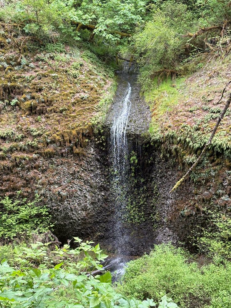 Silver Falls State Park Mini Waterfall