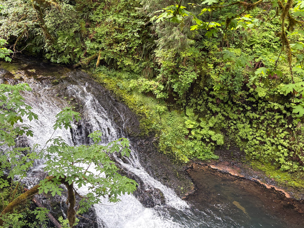 Silver Falls State Park Drake Falls