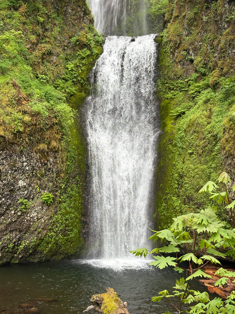 Lower Multnomah Falls