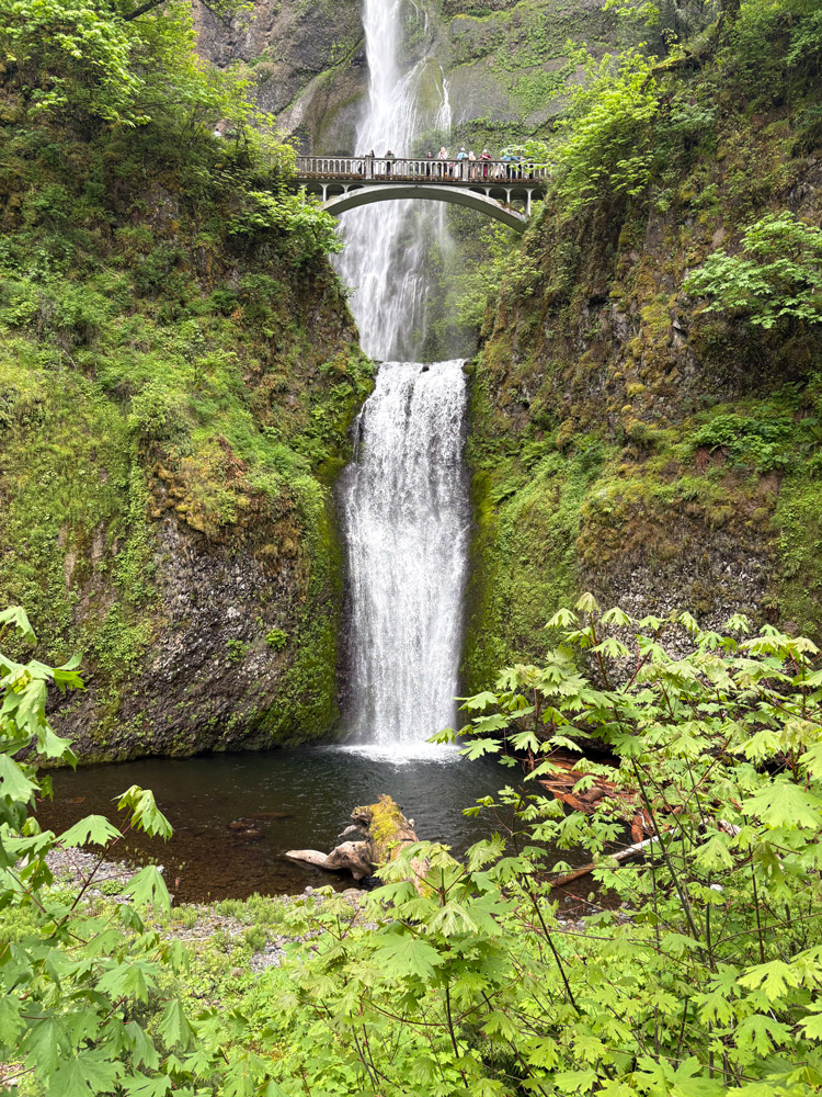 Multnomah Falls Lower and Bridge