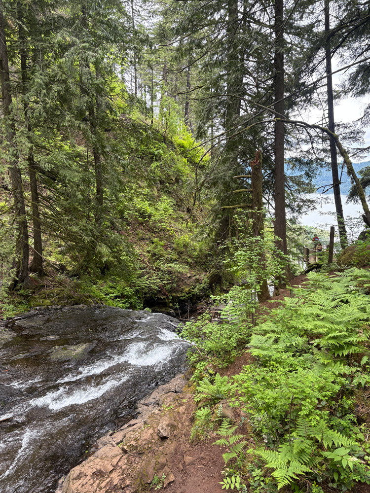 Cusp of Multnomah Falls