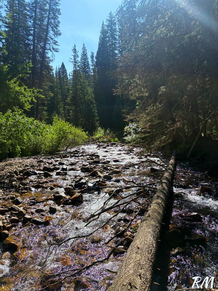 White Pine Fork River