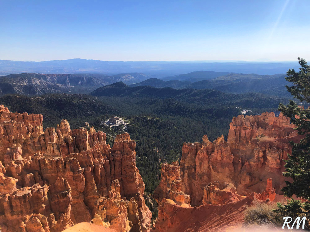Bryce Canyon Hoodoos and Trees Overview
