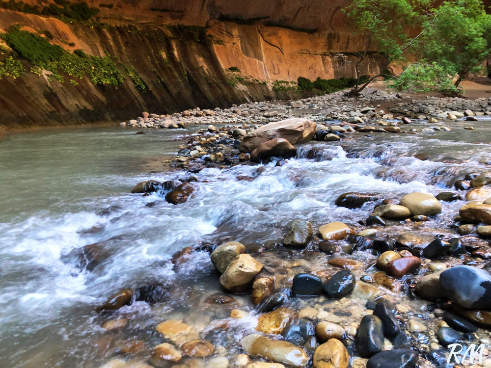 Zion North Fork Virgin River