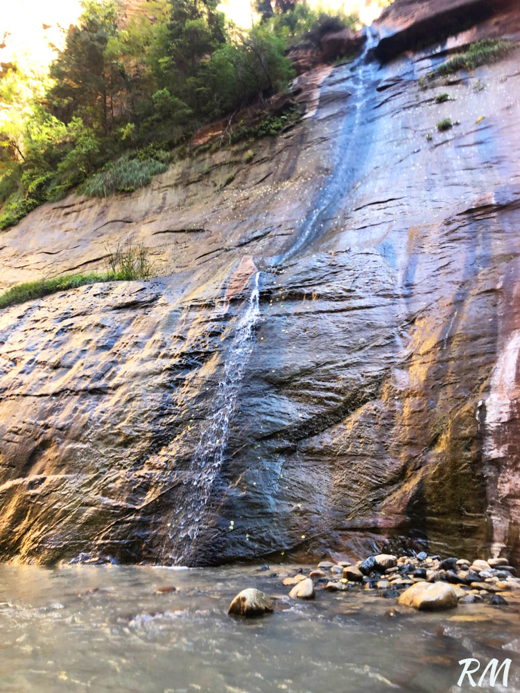 Zion The Narrows Small Waterfall