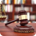 Environmental law gavel and scales of justice on a wooden desk with a blurred bookshelf background.