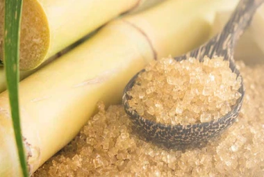 Sugar Industry Brochure