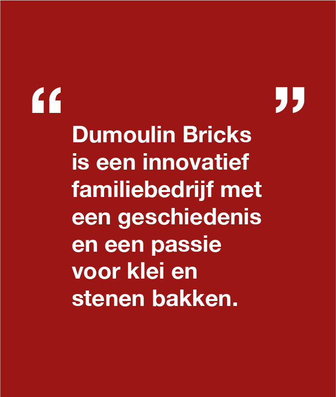 Dumoulin Bricks image layout 10