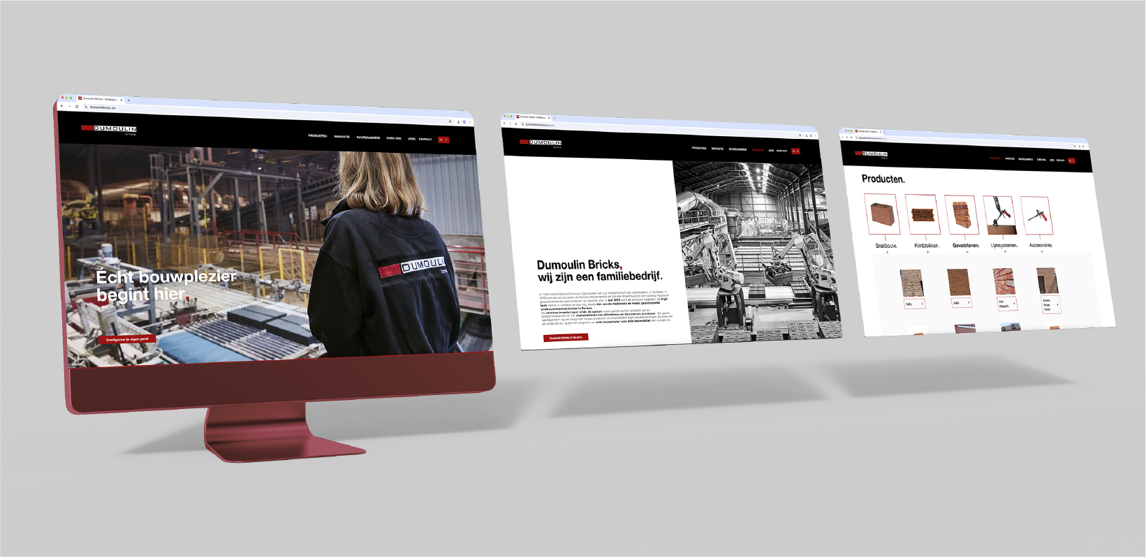 Dumoulin Bricks image layout 1