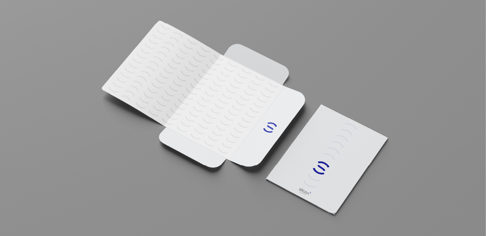 Silicon image layout 1