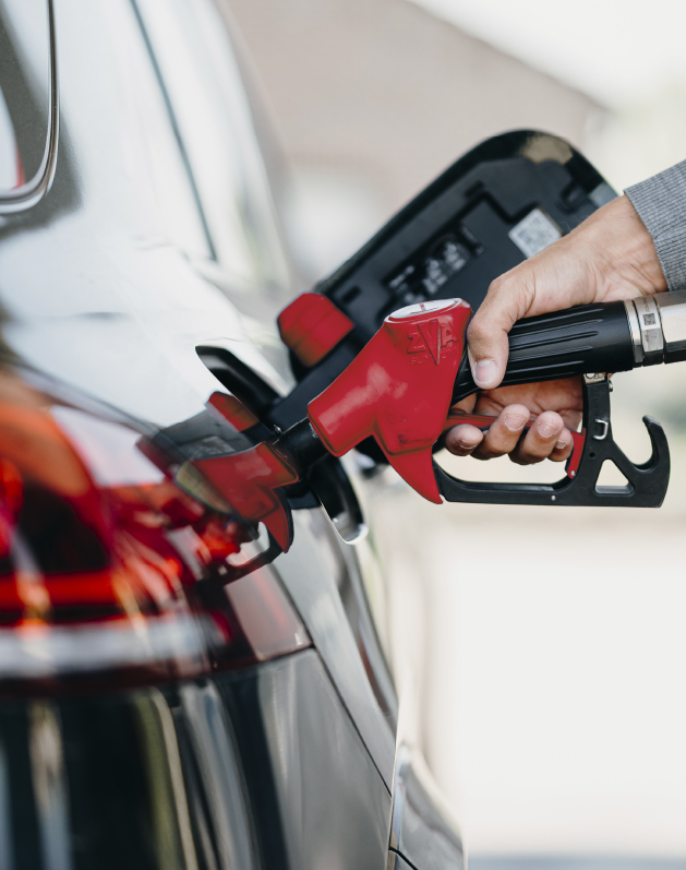 Vansevenant image layout 7