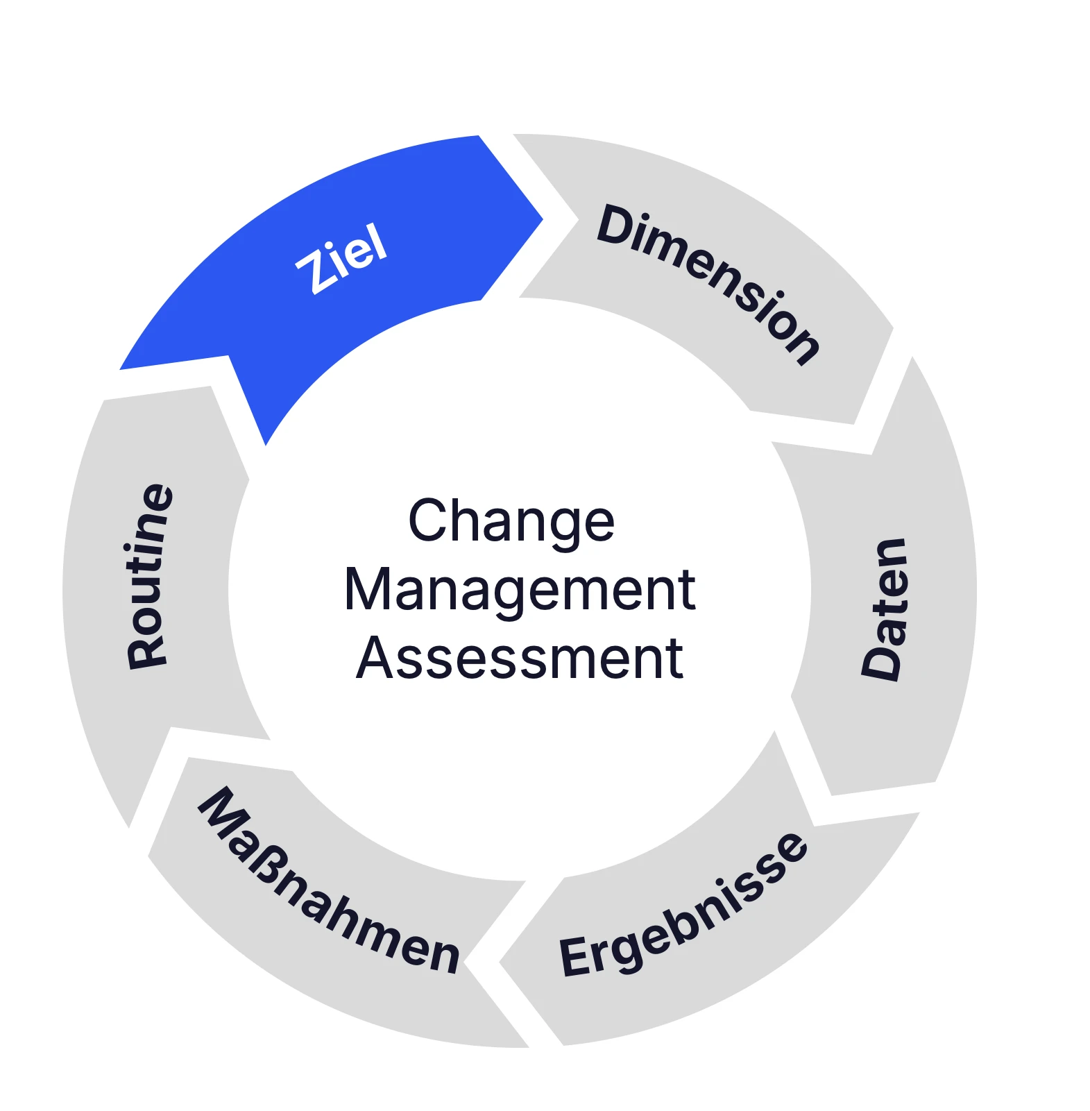 Change Management Assessment Prozess