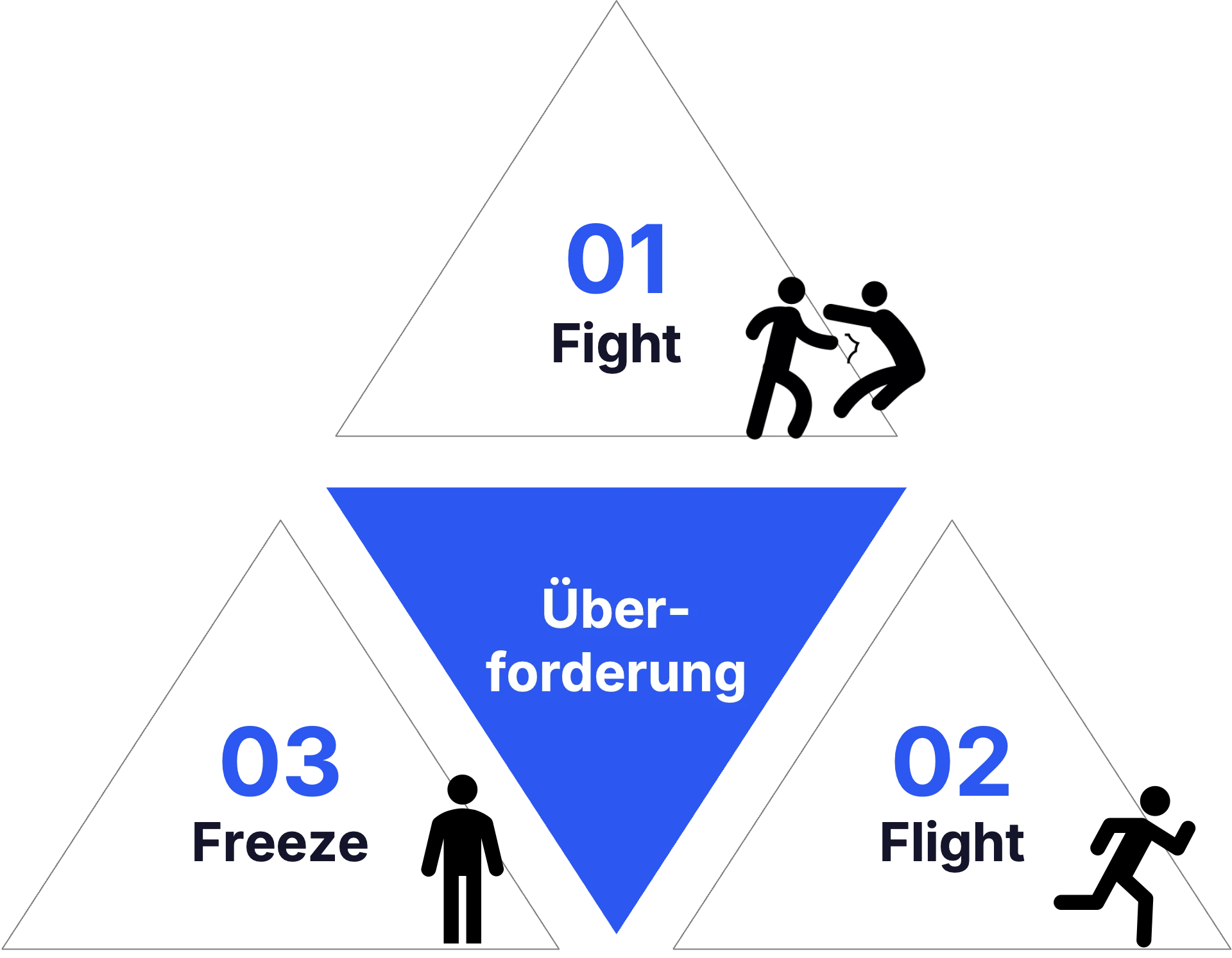 Fight - Flight - Freeze Modell