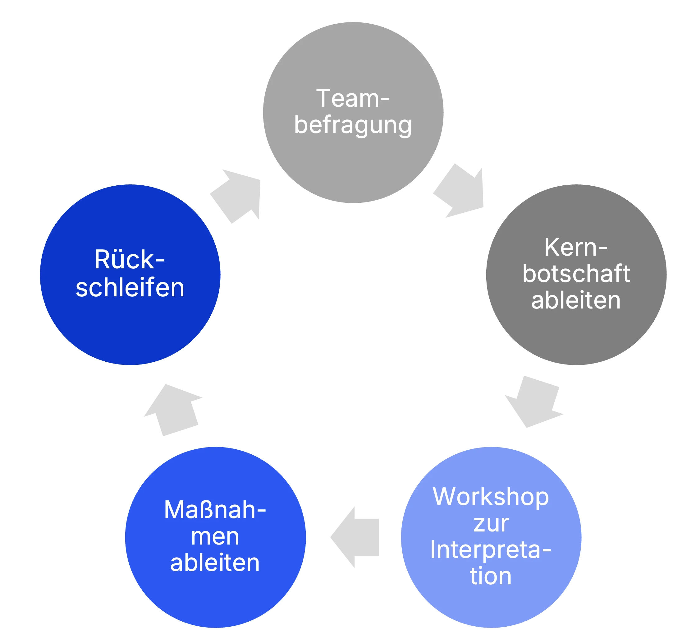 Der Survey-Feedback-Prozess