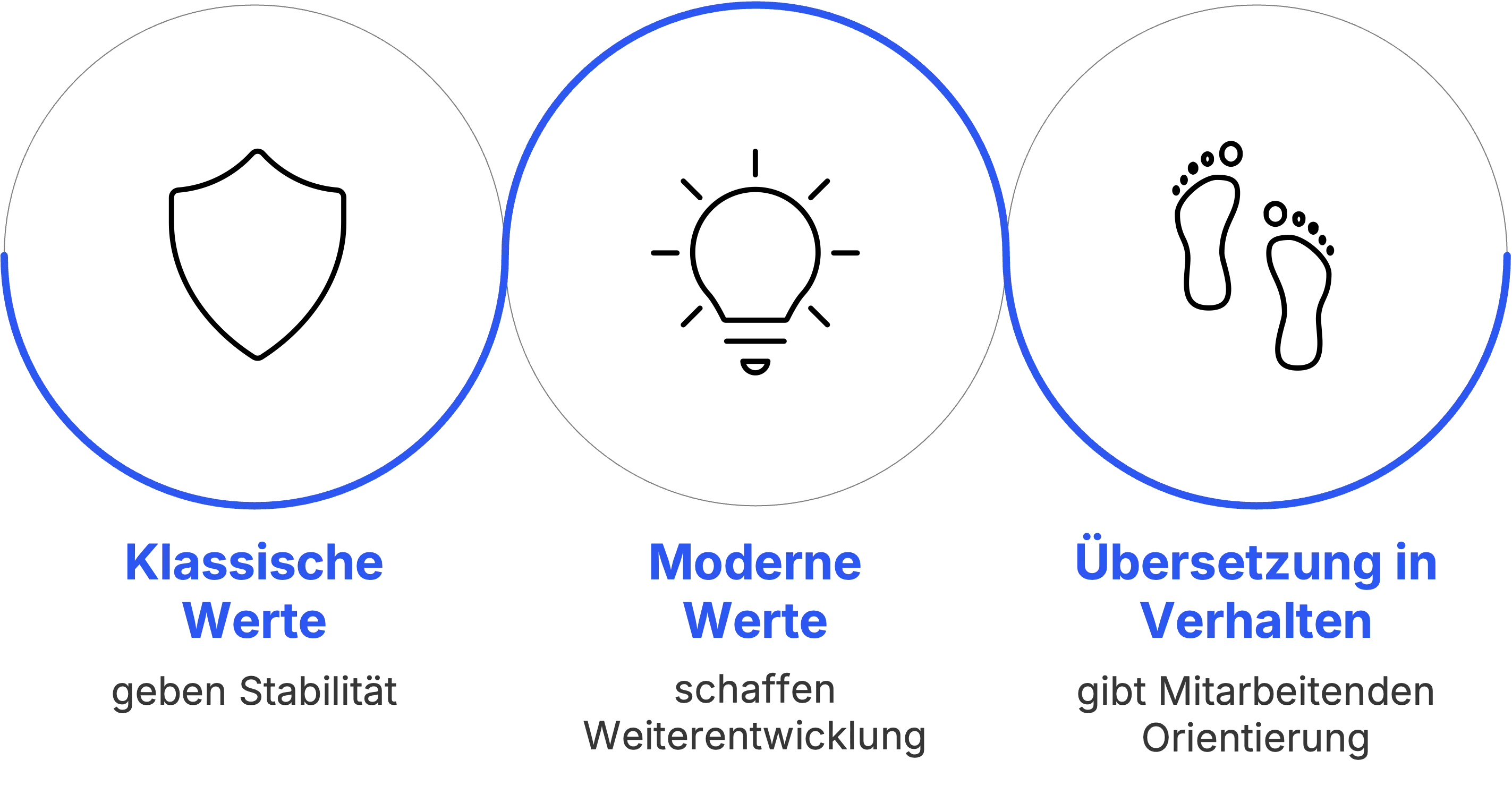 Patagonias Erfolgsfaktoren
