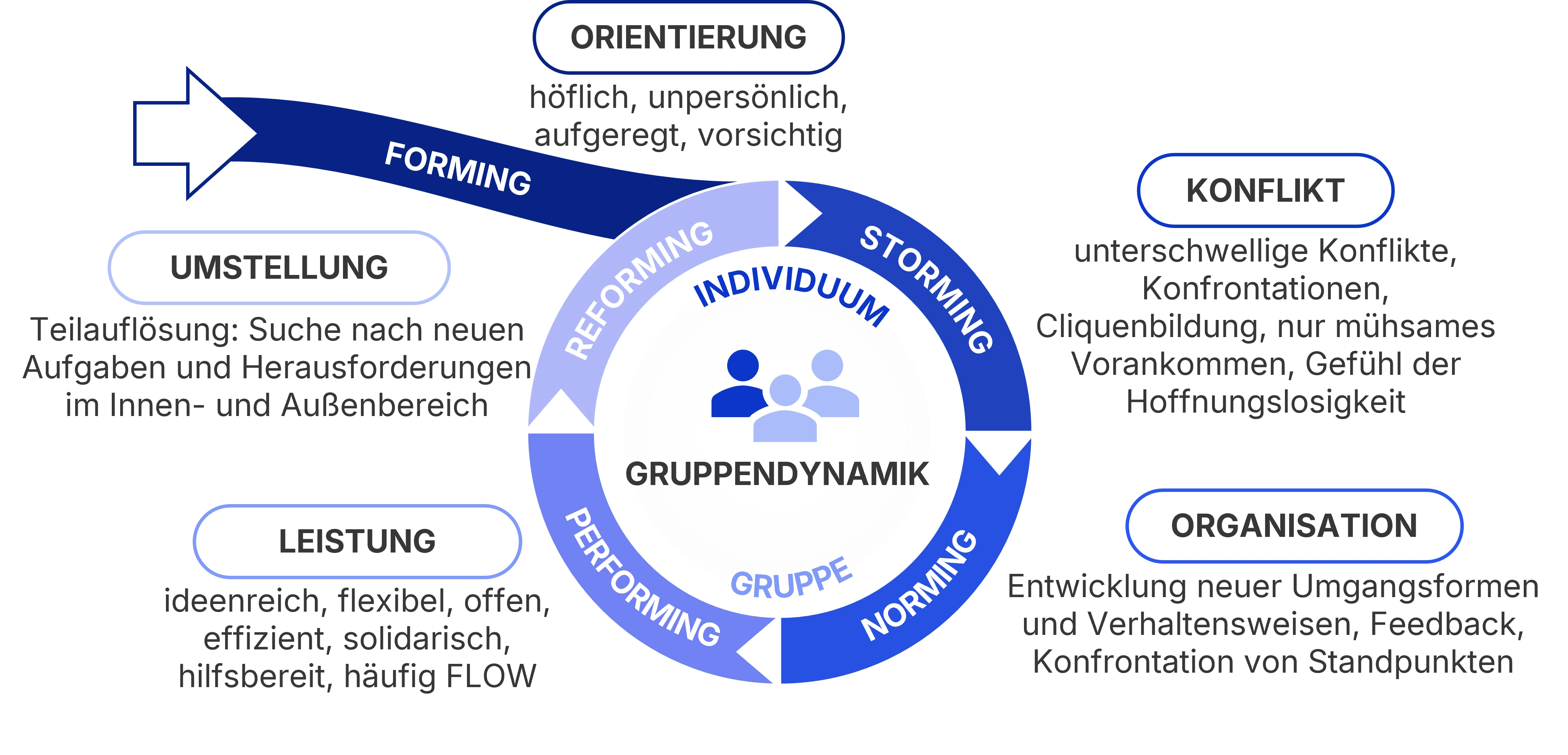 Fünf Phasen der Teamentwicklung