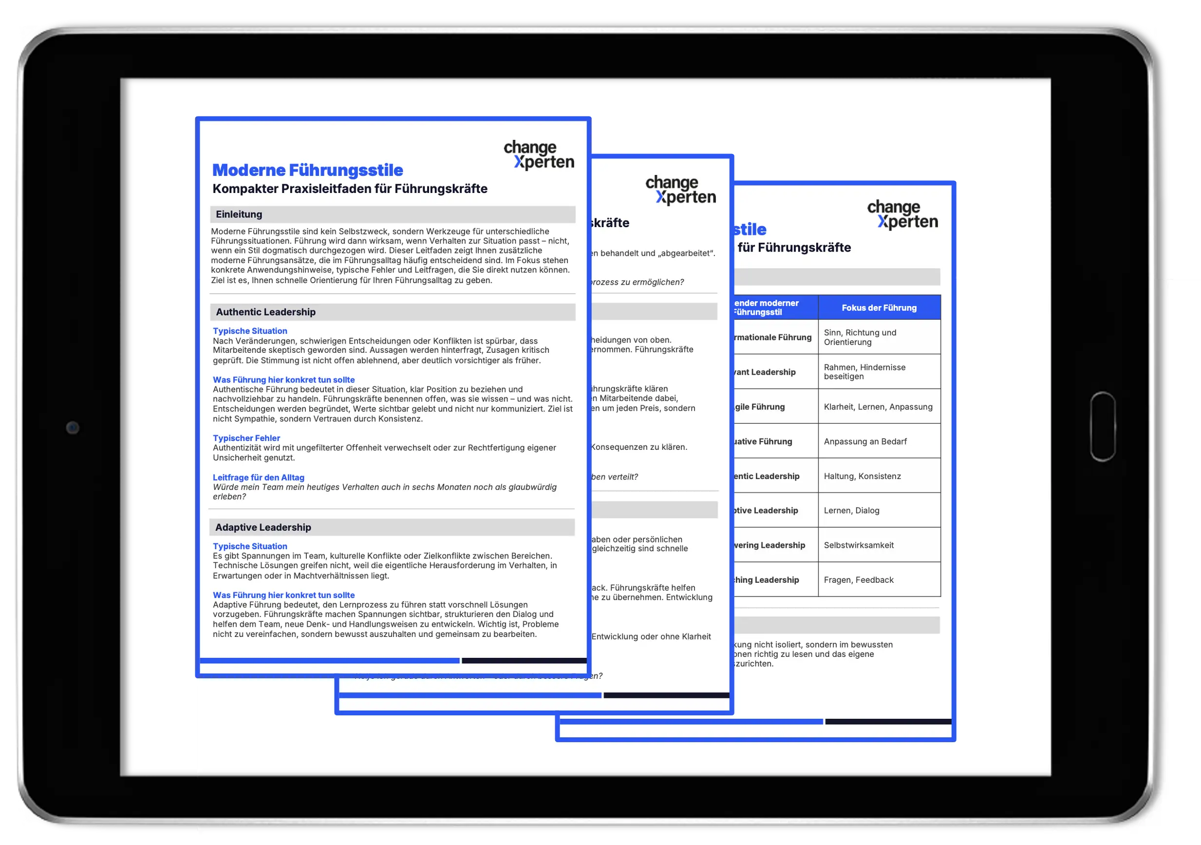 Vorschau moderne Führungsstile PDF