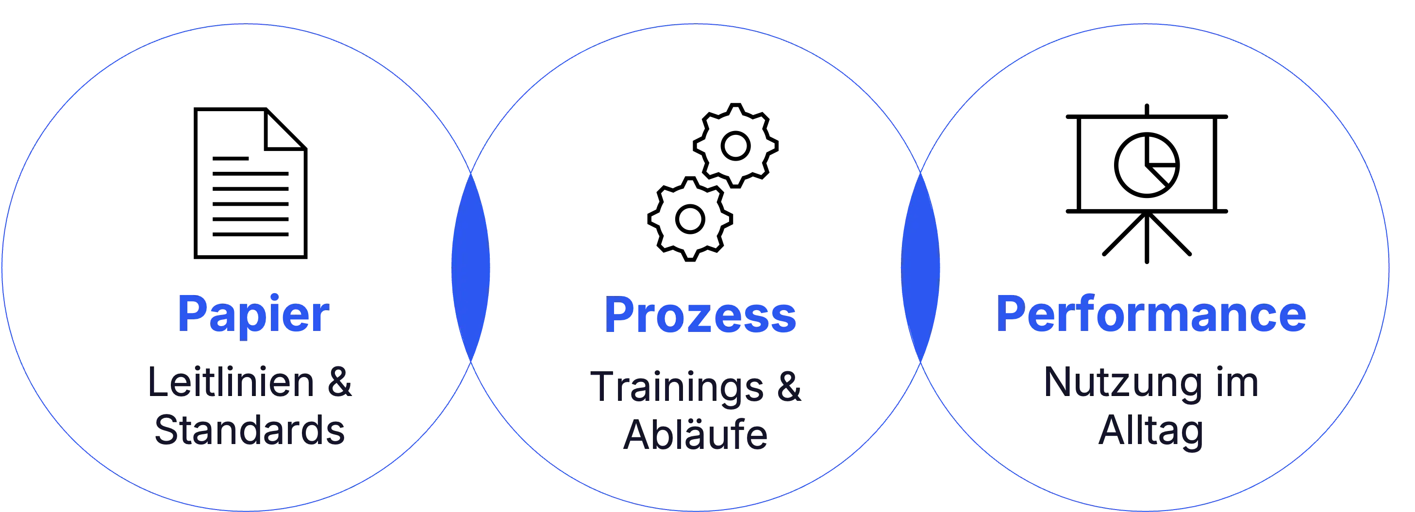 Modell des National Implementation Research Network