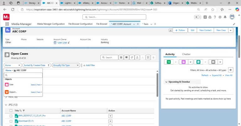 File Management Features in Media Manager