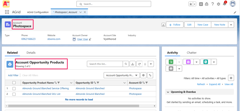 View related Oppty Products directly under Account