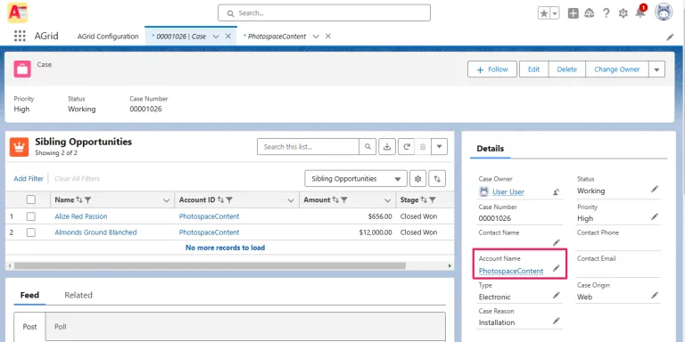 View Sibling records as Related List