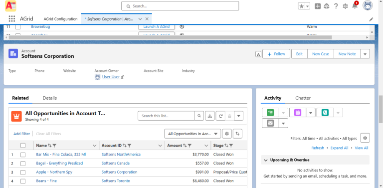 View hierarchical related records in Related Lists