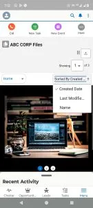 Media Manager in Mobile Device