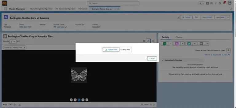 Media Manager's Free Version - Upload,Download features