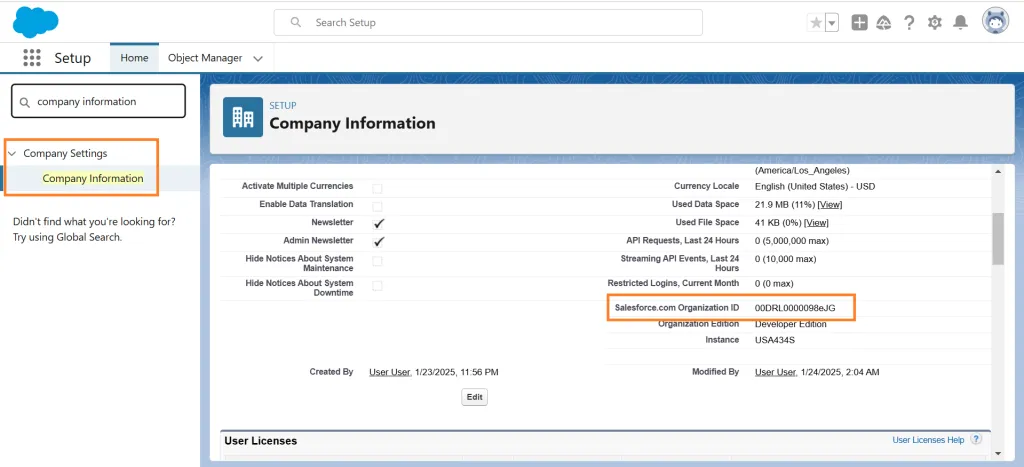 Find your Slaesforce Org ID