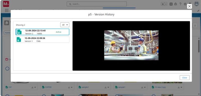 View Version History