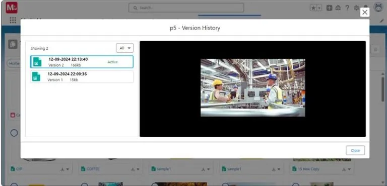 View Version History