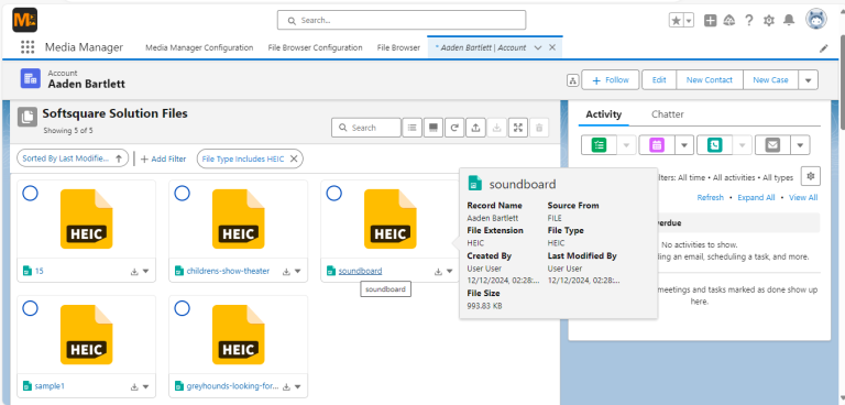 HEIC Image in Tile View