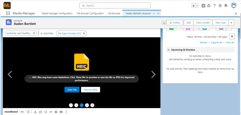 HEIC Image View Options