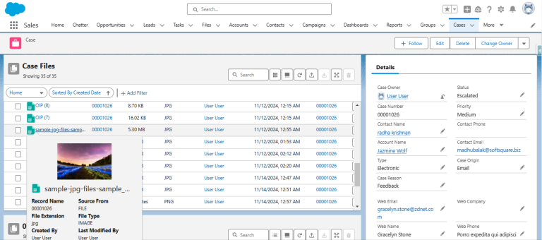 Preview files with list view