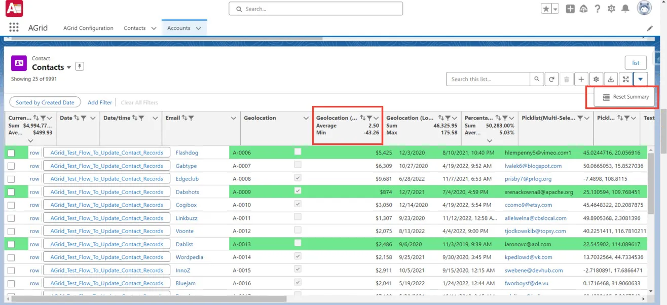 Summary field on the Grid and Reset Summary