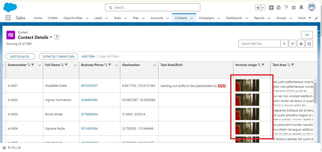 Rich Text Area columns - viewing images