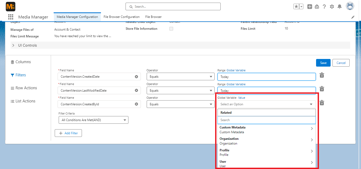 Selecting a Global Variable Option in Filters