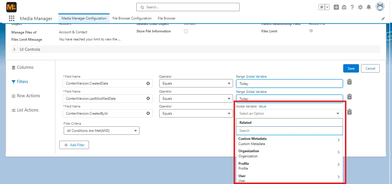 Selecting a Global Variable Option in Filters