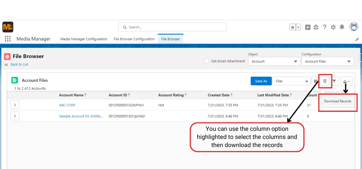 Media Manager - Mulitple Record Download