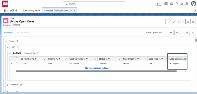 View your formula Columns in Grid