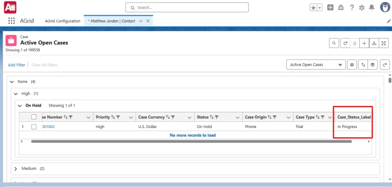 View your formula Columns in Grid