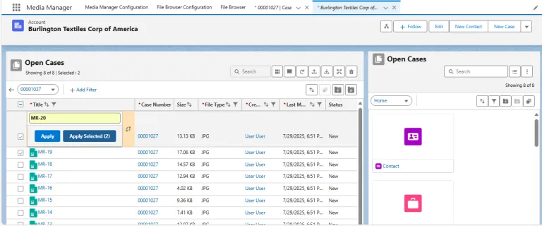 Bulk Edit Multiple Media Details